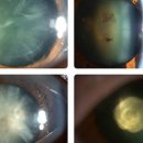 아이사랑 안경원 이미지