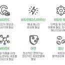 에스피애드