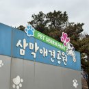 삼막애견공원 내 화장실 | 안양 삼막 애견공원, 반려견과 함께 힐링 산책하기 좋은 곳!
