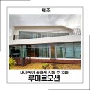 오션564 | 제주도 대가족 숙소 찾는다면 애월 오션뷰 독채 루미르오션 가족여행 후기