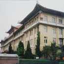 화룡 이미지