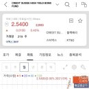 본드일드