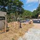 (주)수목조경 이미지