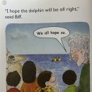 Dolphin Rescue 이미지