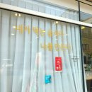 프리미엄 채식 샐러드 초록 전주 단체간식,피크닉 도시락으로 딱 좋은 샐러드랩