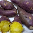 순희농장 이미지