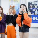 용인실내체육관 이미지