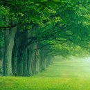 만물목장 이미지