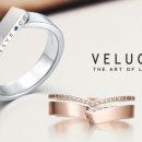 청담-146 이미지