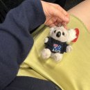 타코하우스멕시칸그릴 보산동점 | [호주/3편] 시드니 본다이비치 맛집·코스 추천 | 허리케인그릴 메뉴 추천(한국인 맛집)