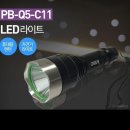 C11 이미지