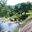 산청가볼만한곳 선유동계곡수월폭포 도천서원 문익점신도비