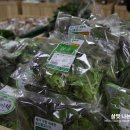 동천안농업협동조합로컬푸드직매장 이미지