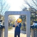 월미공원 서문매점 화장실 | 월미공원 | 전통정원과 벚꽃, 반려견동반 가능