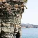 공룡의숨결 이미지