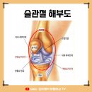 김도형 행정사 사무소 이미지