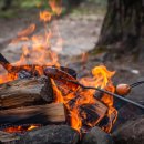 비채야영장 이미지