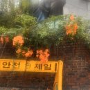 미정포차.야식 | 내가 일으킬 수 있는 아주 작은 기적… 밍기적…