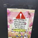 댕댕휴개소 이미지