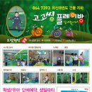 실내방방 이미지