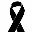 호니도니 이미지