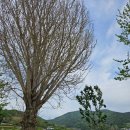 아이들을 위한 국립공원 신상 캠핑장 한려해상국립공원 남해덕신야영장 캠핑 후기/행복나들이 캠핑후기