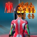 타이거휘트니스 이미지