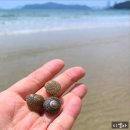부산 엑스더스카이 전망대 후기 :: 스카이99 식사권 이용 꿀팁