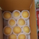 나금이네 이미지