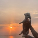 해남노을펜션 이미지