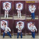 경희대 라이온스 태권도장 이미지