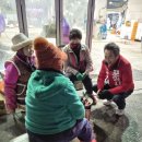 죽도종합상사 이미지