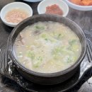 박고집 이미지
