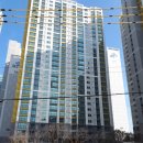 롯데캐슬골든포레 106동 앞(양동초 앞) | &lt;현장답사 후기&gt; 연제구 시청 일대 3