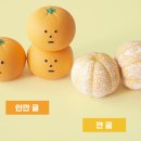 딩독 | 딩독 노즈워크 또띠아,샌드위치 내돈내산 후기 (노즈워크 장난감추천)