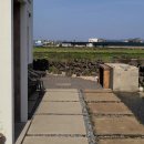 종달차경(메리골드) 이미지