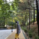 굿모닝프렌드 이미지