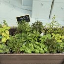 유성자이 안경 이미지