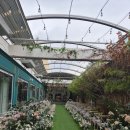 돔하우스 | 안양웨딩홀 더블룸하우스 계약 후기 - 오픈돔 천장에 반한 예신의 선택