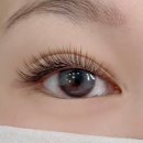 봉곡로-15 이미지