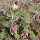 구암중학교 이미지