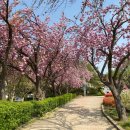 건강공원 이미지