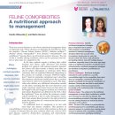 THE APPROACH | FELINE COMORBIDITIES: A nutritional approach to management