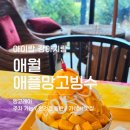 레이 | 제주 애플망고빙수 맛집 망고레이 애월직영점 후기｜가성비 좋은 애월 카페 추천