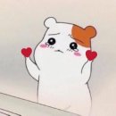 포들포들 이미지