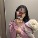 카페 MIMINKO | 광명애견카페 미밍코 5주년 이벤트 총정리