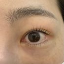꼼꼼한영이씨 뷰티 | 울산 북구 속눈썹펌 잘하는곳 꼼꼼한영이씨 뷰티