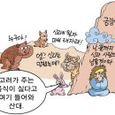 스토리텔링 한국사 이미지
