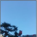 ㈜청솔나무병원 이미지