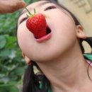 삼훈행복농원 이미지